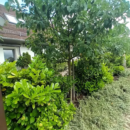 Penzion Pension Mark 3*