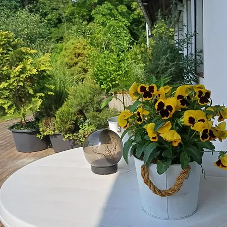Pension Mark Maison d'hôtes Hoyerswerda
